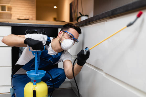 Trusted Mitchellville, IA Pest Control Experts