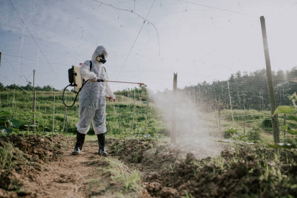 Pest Control Cost in Mitchellville, IA