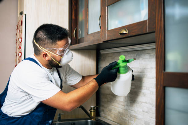 Best Local Pest Control Services  in Mitchellville, IA