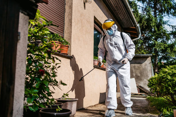 Best Affordable Pest Control Services  in Mitchellville, IA