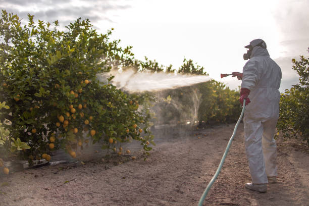 Best Bed Bug Extermination  in Mitchellville, IA