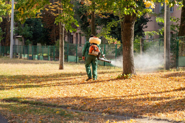 Best Best Pest Control Companies  in Mitchellville, IA