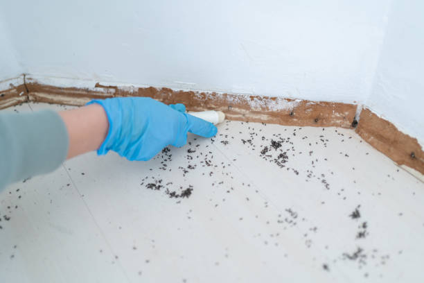 Best Commercial Pest Control Services  in Mitchellville, IA